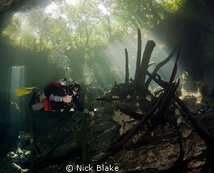 Exploring in Chac Mool Cenote, Mexico. by Nick Blake 